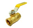 107-813 Proline 10 1-2 Npt Brass
