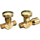 203 Western Enterprises We Valve 698944064549