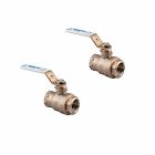3-4lffbv-4 Watts 2-pack 3-4 Lffbv-4 098268805475