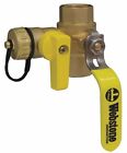 40612 Webstone Brass Ips Hose Cap Ball Valve With 018394406124