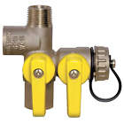 41672 Webstone Expansion Tank Service