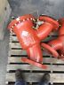 810-38 Ames Valves Backflow Pressure Reducing Angle Valve Ff Flanged Mod