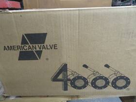 T264347 American Valve 611918003535 4000 Ball