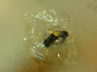 Asi-sd-pg-m12 18789 Festo 28553 New-no