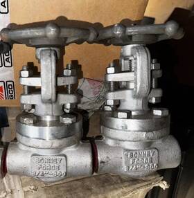 A182f316 Bonney Forge 2 3/4 Inch 800 Pound Globe Valves Socket Weld Qty Of