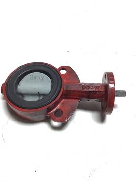 9v02x Bray Butterfly Valve