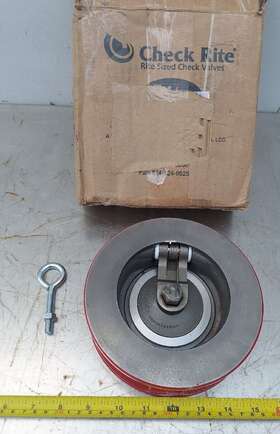 V0412c37 Bray-rite Bray/rite 4 Inch #125 C/iron Check Valve Tef
