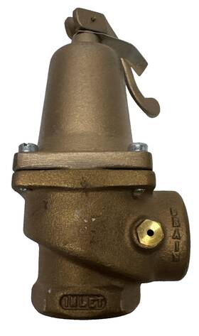 16174-0150 Cashacme Cash Acme F-82 1 1/4 Inch Pressure Relief Valve
