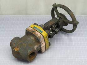 T190101 Crane Api-624 Api 624 Ro18 Gate Valve Body A105