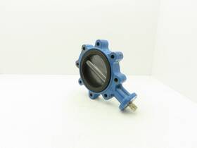 Rs517nl Durco 6 Inch Lug Style Butterfly Valve Lined Disc 150psi Dn150 Cracked Seal