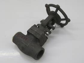 10ct-2860 Dv Globe Valve T239858