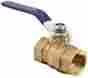 Fbvg100 Dixon Valve Coupling Brass Ball 1 Npt Female Free 2 Day Shipping