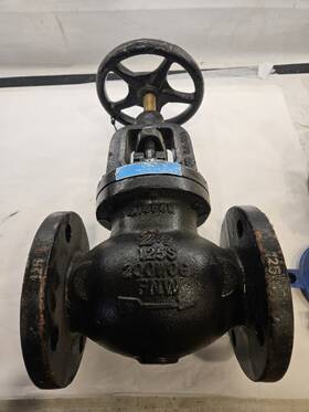 Fnw661bl Fnw Figure 661 2-1/2 Inch Cast Iron Flanged Globe Valve