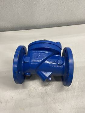 V200bfm Ga Industries 3 Inch Flanged Swing Check Valve-v200bfm