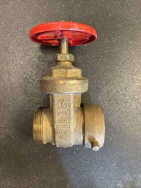 A53y001 Giacomini Brass Fire Hose Gate Valve 2-1/2 Inch Fnpt X Mnst 300 Psi