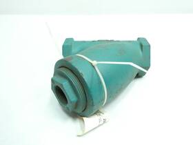B-250 Keckley Steel Threaded Strainer 2in Npt