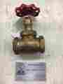 Kt-65 Nibco New 1 Threaded Brass Globe Valve Fig