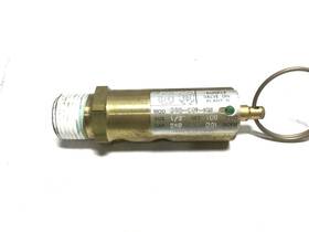 548-c01-km0100 Kunkle Safety Relief Valve 1/2 Inch Cap 249 Set 100 Psig