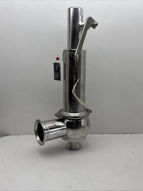 4884.8854 Leser Safety Relief Valve 2 Inch Nps J22 264 Lb/hr Steam 10mm Lift