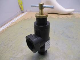 3300-0015 Pentair 3/4 Inch Relief Valve 2 C-38
