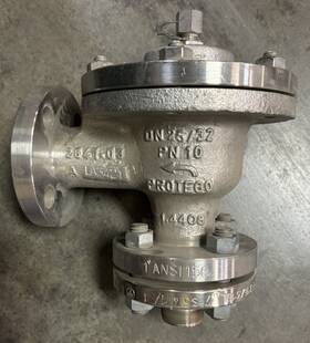 Cf8m1-4408 Protego Pressure/vacuum Relief Valve In-line 3099-00 Pn 10
