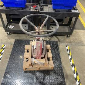 2101016 Red Valve Company Manual Pinch Rsip