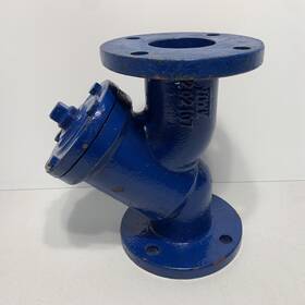202107 Rwv Y-strainer Flanged Iron Body