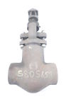 Sw66793 Vogt Manual Steel Socket Weld Globe Valve