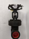 00011701200 V12111h Vogt Gate Valves Forged Steel Threaded Bolted