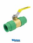 W91707w Webstone Company Brass Female Socket Full Port Ball 018394009295