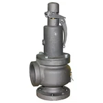 Apollo Valves Safety Relief VALVE,1 IN,15 Psi 13202B15. Fixed Price $68.15.