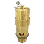 Control Devices SW1- Npt Brass Asme Safety Valve 155 Psi. Fixed Price $86.99.
