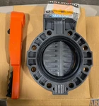 Hayward 6" Pvc Butterfly Disc Valve BY110600EL. Fixed Price $449.00.