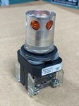 New Allen Bradley Momentary Push Button Illuminated Amber 800T-QAH10A Ser -xa. Fixed Price $160.00.