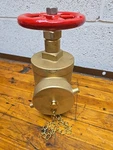 2-1/2" Npt 300 Brass Threaded Fire Hose Valve Listed 5EE7 EX3182. Fixed Price $124.99.