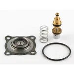 Asco 182032 Valve Rebuild Kit, Use W/4ELE2 And 4ELE3. Fixed Price $574.99.