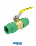 Webstone Company Pro-connect 2 In. Brass Female Socket Full Port Ball Valve. Fixed Price $90.00.