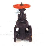 Crane Cast Iron Gate Valve 1735 2-1/2" Flanged 125 200 Wog. Fixed Price $270.52.