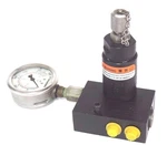Enerpac MV722B Pilot Operating Check Valve W/ ACL22A Accumulator. Fixed Price $625.00.