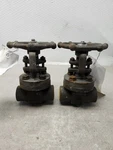 New No Box Lot Of 2 Vogt Gate Valve Carbon Steel 3/4" AAB84F0000Y. Fixed Price $45.00.