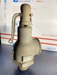 Vintage Lunkenheimer Fig 629 1.25" Mpt 1.5" Fpt Bronze Relief Whistle Valve 1972. Fixed Price $399.99.
