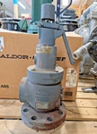 6252FKK01-LS Kunkle Valve Pressure Relief 19950 Lb/hr 185 Psig. Fixed Price $499.99.