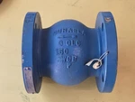 Durabla 3" Class 150 Flanged Check Valve. Fixed Price $249.95.