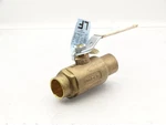 Apollo Valves 70LF-205-01 Used (1229180156 ). Fixed Price $20.00.