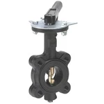 Milwaukee ML232B Butterfly Valve, Lug Style, Size In. Fixed Price $215.99.