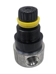 Taylor Freezers 063424 Regulator, Water Commercial Equipment Part. Fixed Price $122.49.