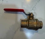 Rwv NSF-61-G Red-white Valve Corp.. Fixed Price $29.99.
