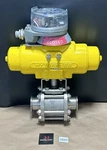 Emerson HYTORK-186 Pneumatic Actuator Stonel Quartz Valvepoint QZP33C1R 2 Ss Bv. Fixed Price $650.00.