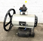 Flowserve Automax Valve Automation Systems SNA250D Pneumatic Actuator/buna. Fixed Price $2000.00.