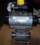 Pbm 3" Stainless Sanitary Pneumatic Actuated Ball Valve CF3M PABTL453S-0225. Fixed Price $134.99.